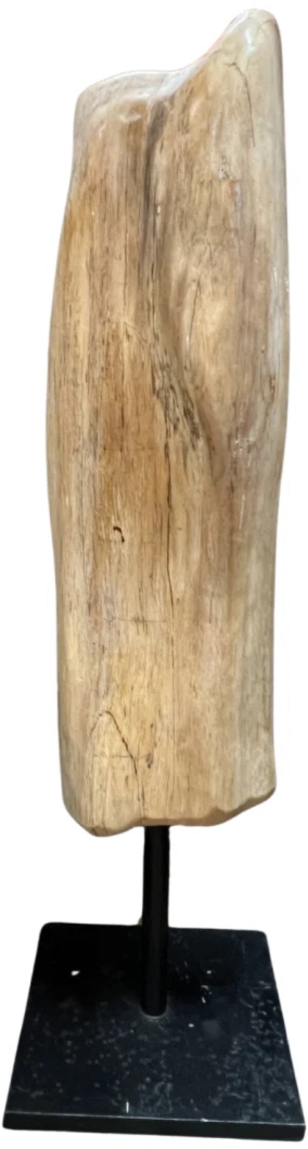 Versteend hout sculptuur op voet