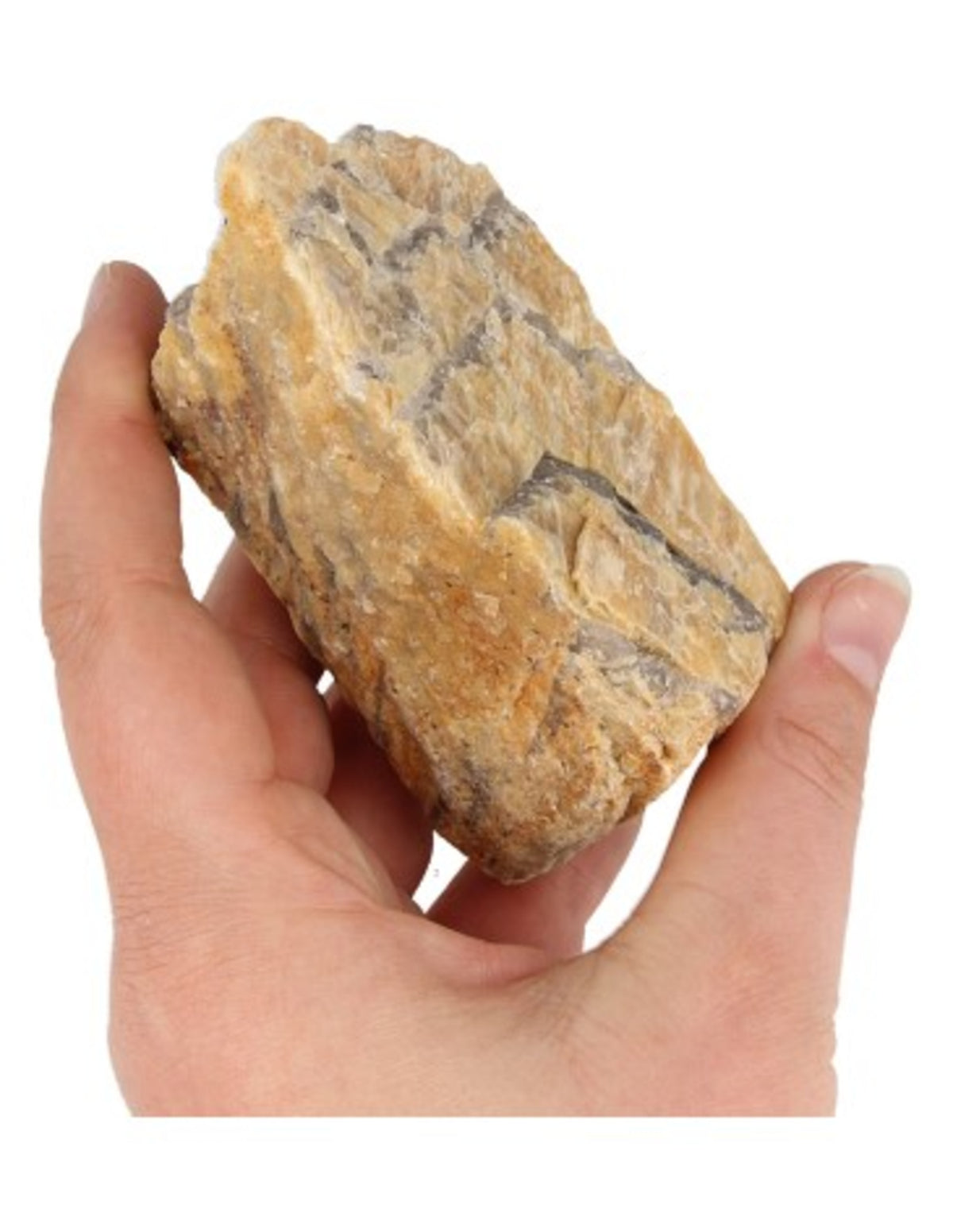 Zebradoriet ruw 250-350 gr.