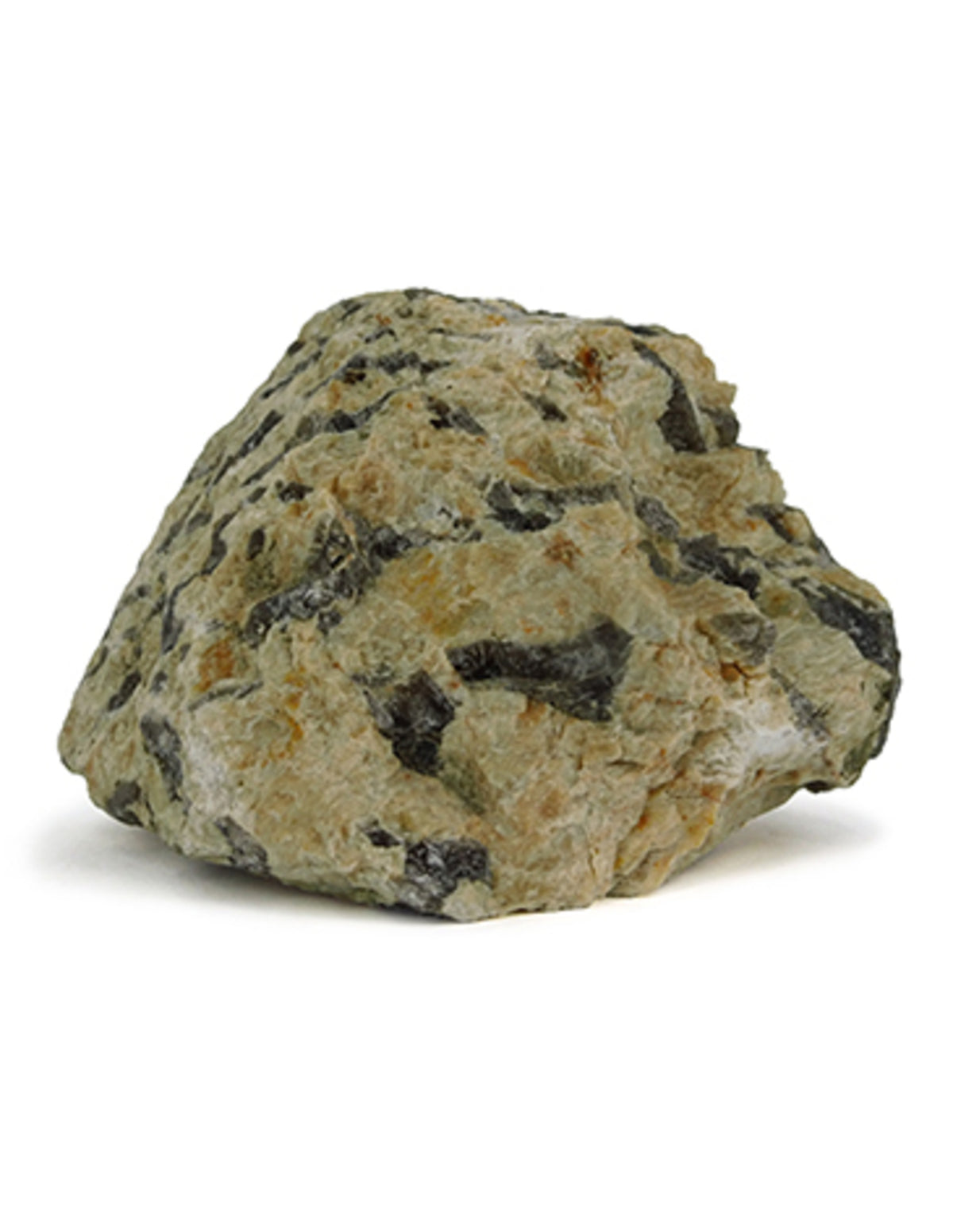 Zebradoriet ruw Madagaskar, p/kg