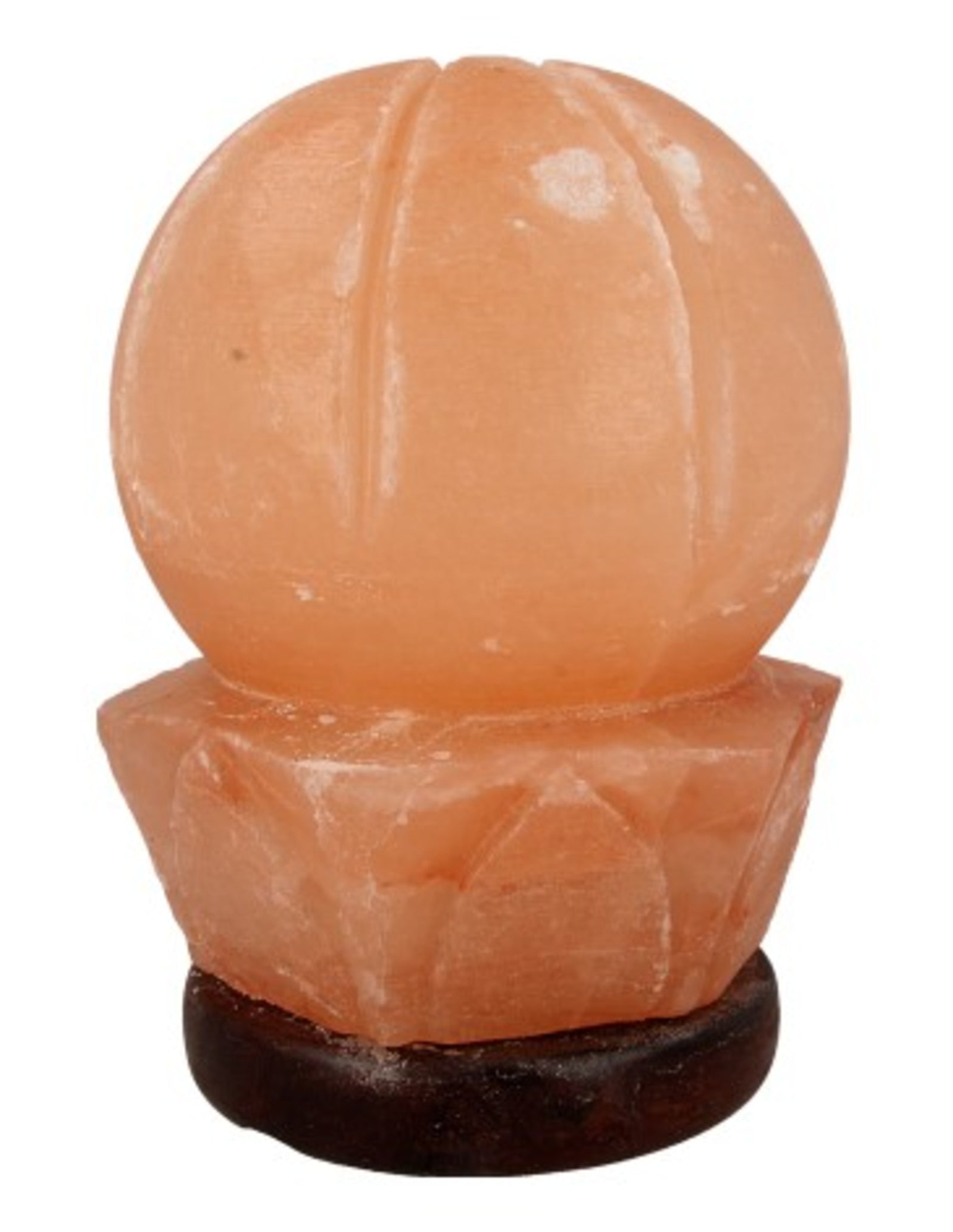 Zoutsteen lamp lotus incl. elektra